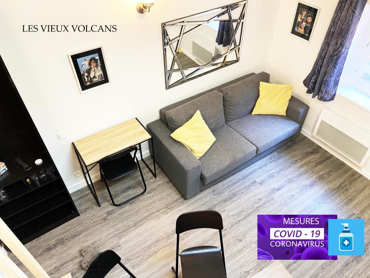 Vivez Sur Un Volcan, Vivez Clermont Ferrand Apartment Luaran gambar